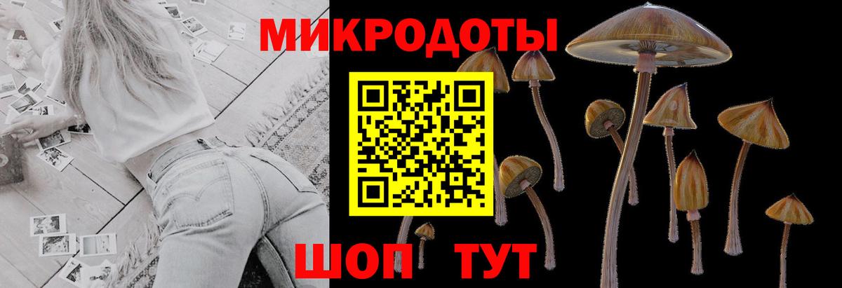Псилоцибиновые грибы мухоморы  Псилоцибиновые грибы мухоморы  Вход с VPN  Воркута 